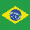 tattoo artist in Brazil