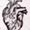 tattoo Balazs Bercsenyi